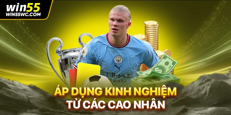 Áp dụng kinh nghiệm từ các cao nhân