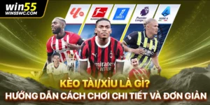 Kèo Tài/Xỉu Là Gì? Hướng Dẫn Cách Chơi Chi Tiết Và Đơn Giản