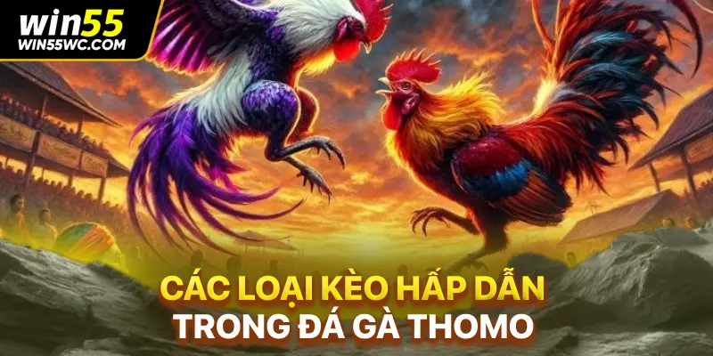 Các loại kèo hấp dẫn trong đá gà Thomo