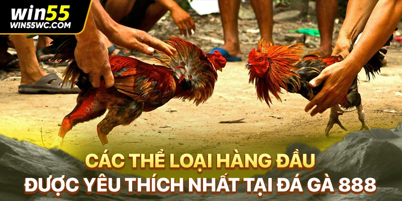 Các thể loại hàng đầu được yêu thích nhất tại đá gà 888