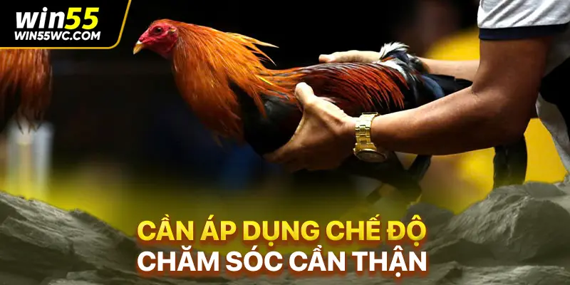 Cần áp dụng chế độc chăm sóc cẩn thận