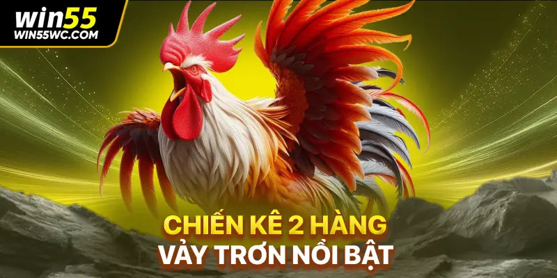 Chiến kê 2 hàng vảy trơn nổi bật