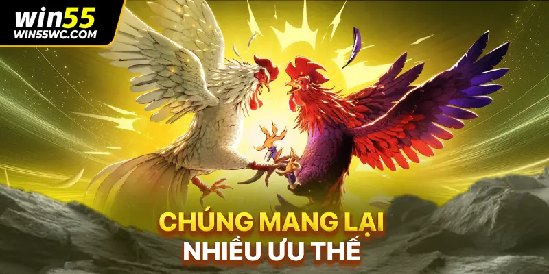 Chúng mang lại nhiều ưu thế
