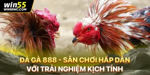 Đá Gà 888 - Sân Chơi Hấp Dẫn Với Trải Nghiệm Kịch Tính