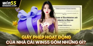 Giấy Phép Hoạt Động Của Nhà Cái Win55 Gồm Những Gì?