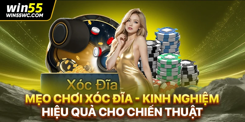 Mẹo Chơi Xóc Đĩa - Kinh Nghiệm Hiệu Quả Cho Chiến Thuật