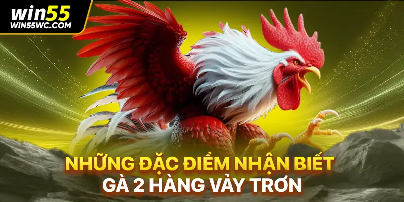 Những đặc điểm nhận biết gà 2 hàng vảy trơn