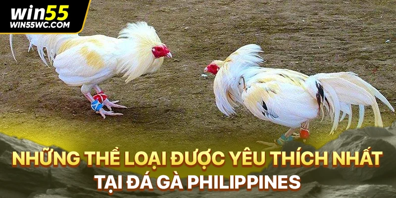 Những thể loại được yêu thích nhất tại đá gà Philippines