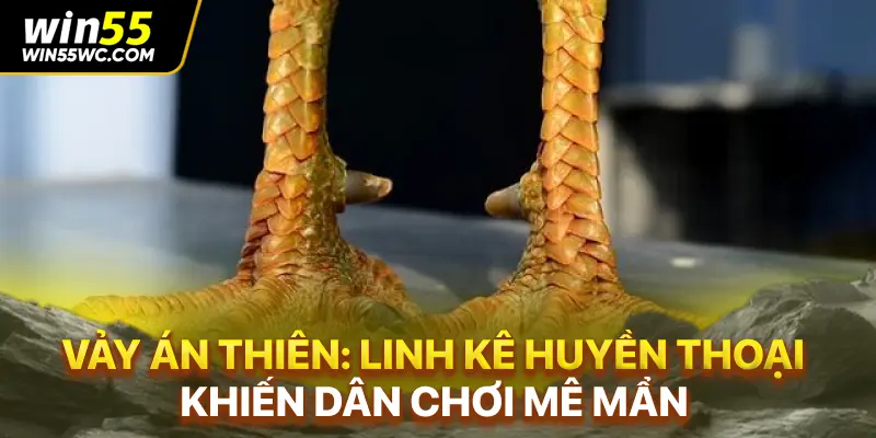 Vảy Án Thiên: Linh Kê Huyền Thoại Khiến Dân Chơi Mê Mẩn