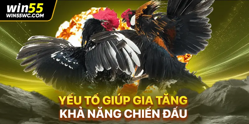 Yếu tố giúp gia tăng khả năng chiến đấu